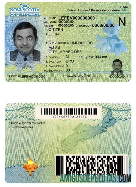 Carteira de motorista do Canadá Nova Escócia exemplo real